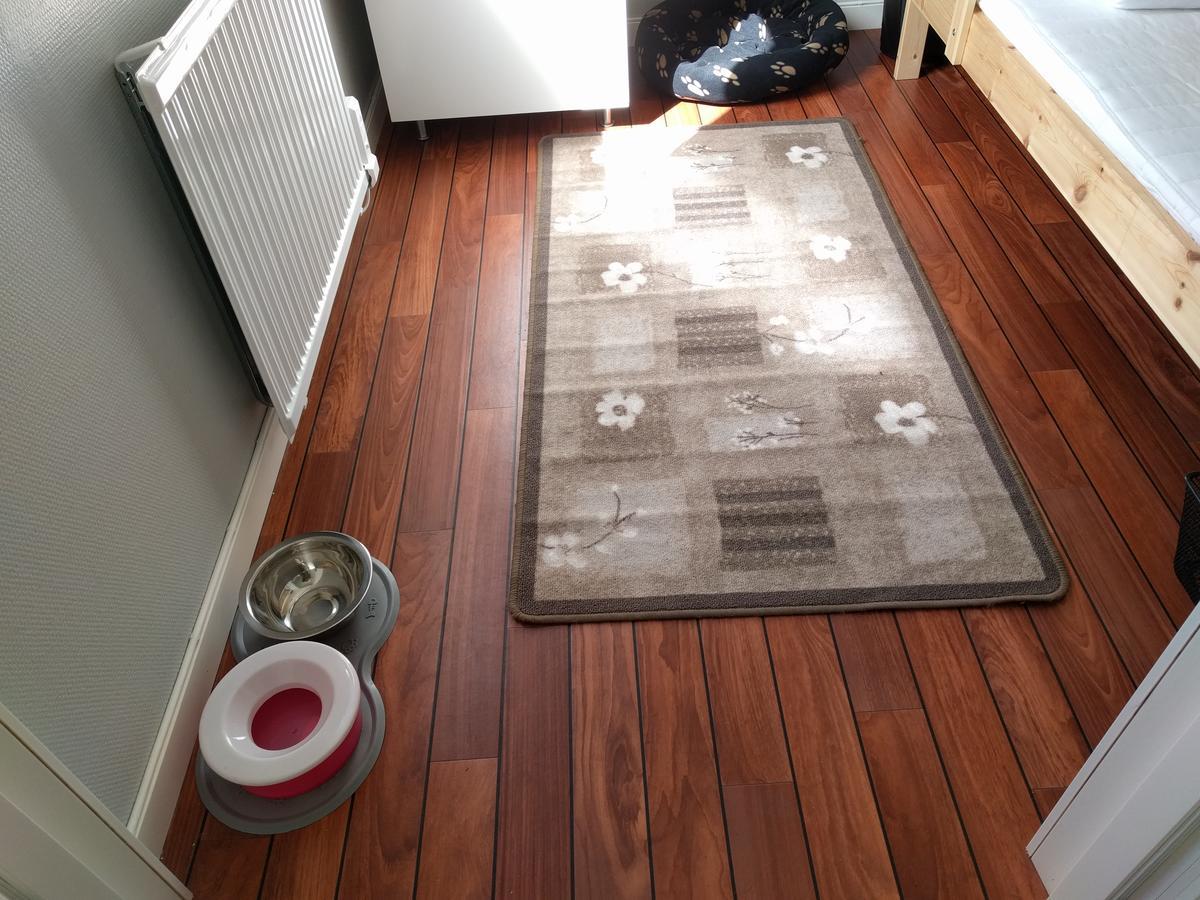 Olserods Hundcenter & Vandrarhem Degeberga Dış mekan fotoğraf