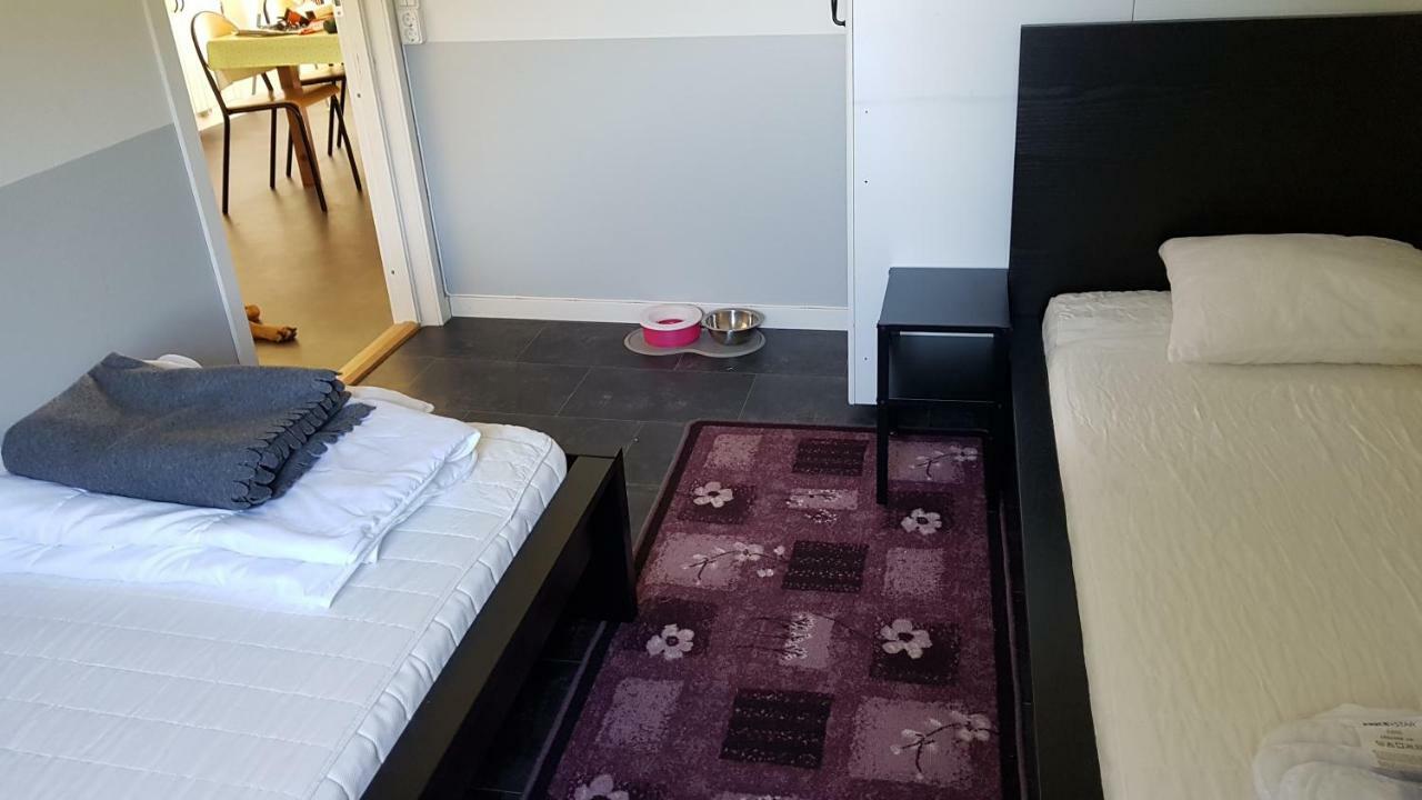 Olserods Hundcenter & Vandrarhem Degeberga Dış mekan fotoğraf